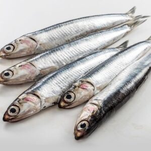 Anchovies