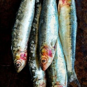 Sardines Fish