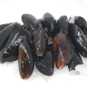 Mussels