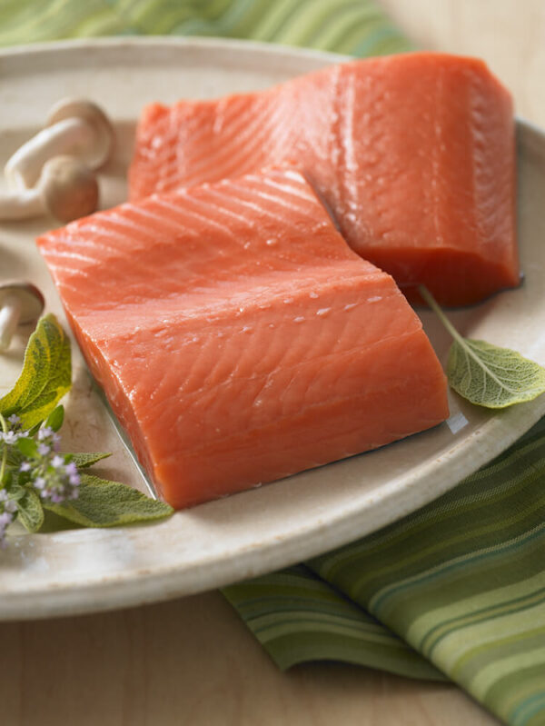Coho Salmon